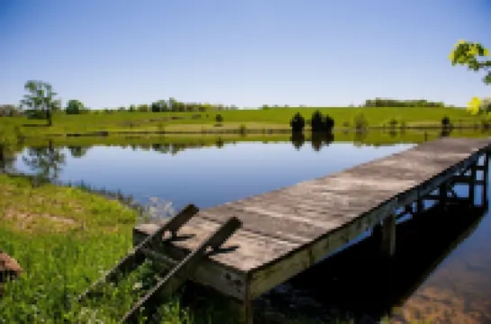 Wine Country Farmhouse On the Wine 🍷 Trail!  Private Lake kayaks Fire Pit 🔥