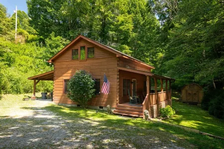 🐾 Bobcat Run - real log cabin w/ huge hot tub! Near Watauga Lake 🚤 & River 🐟