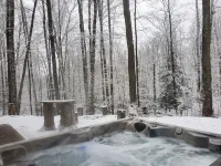 Pet friendly, hot tub, cabin