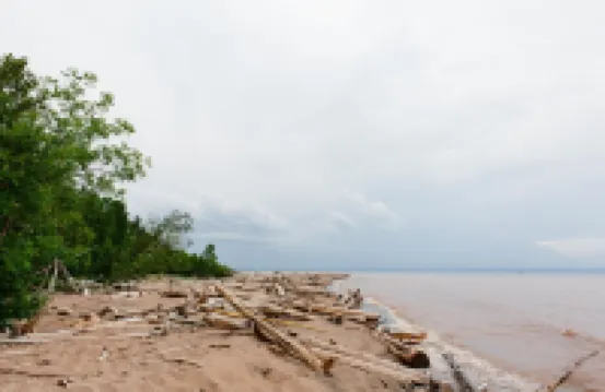 Woodsy Personal Retreat Cabin - "Solitude" Hotels in Lakeside