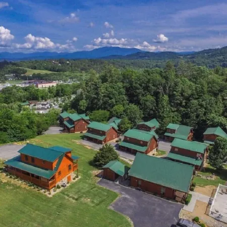 Blackberry Bear - Enjoy Spring and Summer in the Smokies!