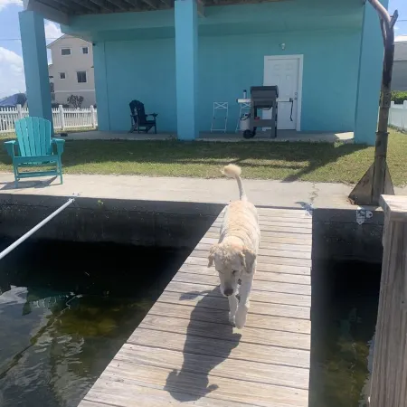 Waterfront Vacation Home with Gulf view- Boaters Paradise