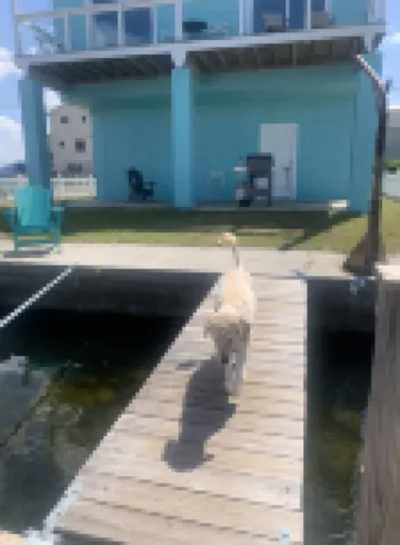 Waterfront Vacation Home with Gulf view- Boaters Paradise