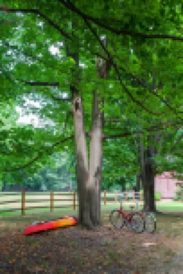 Dog friendly hideaway in Bucks County near River