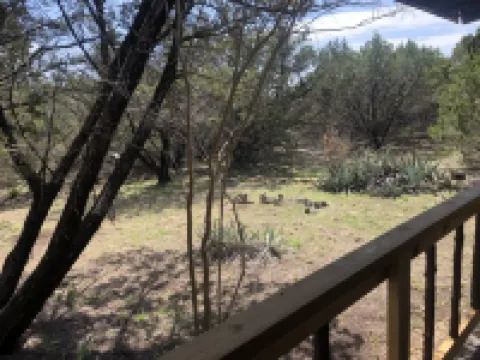 Cedar Ridge Log Cabin on 14 acres - Pet Friendly!