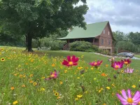 Willow Tree Retreat Damascus, VA - シャレー