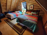 Birdwatchers Paradise: Secluded Cabin in the Woods on 4 acres