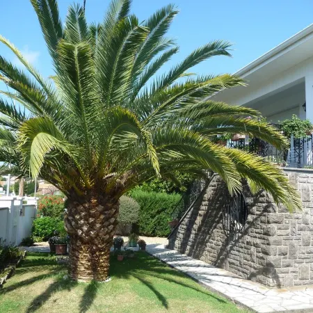 Spacious apartment in villa with large private garden and terrace near the sea
