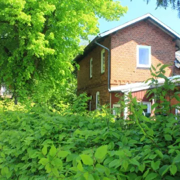 Charming family and pet friendly apartment in rural idyll - pure relaxation