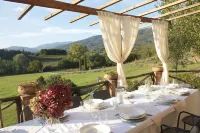 Romignano wine farm. Your villa in TUSCANY. Hotels in Terranuova Bracciolini