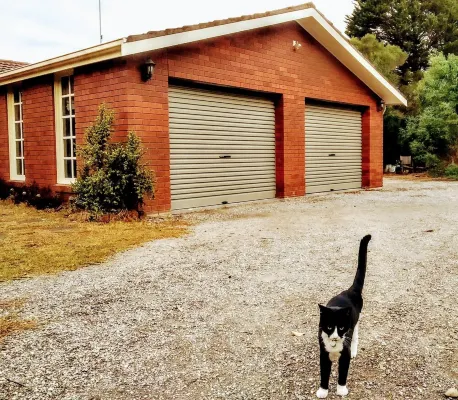 Treescape, Seascape Getaway