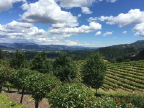 Available * Downtown Napa- Beautifully Remodeled --2Bedroom 2 Bathroom Home