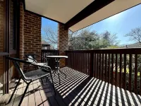 Little Gem in the City