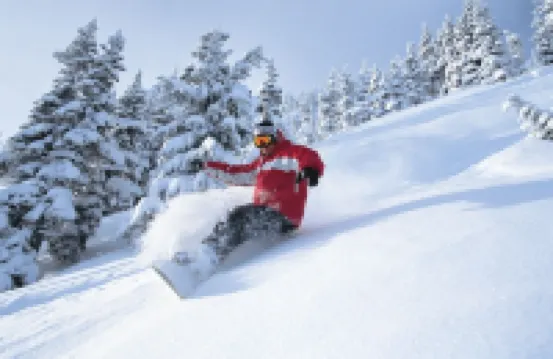 Picture Perfect Condo in the Heart of Ski Country