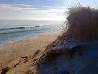 Waterfront Cottage - fantastic unobstructed views!! Hotels in Wellfleet