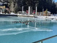 Red River Getaway- Ski in/Ski Out, Updated Townhome, Best Location, Sleeps 10 Hotels in Red River