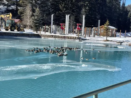 Red River Getaway- Ski in/Ski Out, Updated Townhome, Best Location, Sleeps 10