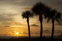 #1 Siesta Key Beach -Super Clean -2 Level Townhouse -2Br/2.5 Bth- 5 Star- 1400sf