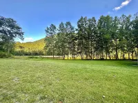 Cozy 2-bedroom, river access, near Smoke Hole, Seneca Rocks & Dolly Sods Hotels in Union