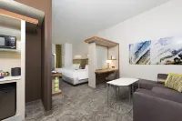 SpringHill Suites Detroit Auburn Hills Hotels in Auburn Hills