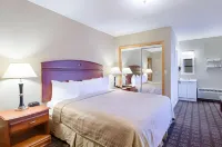 Quality Inn & Suites Northampton - Amherst Hotels in Hadley