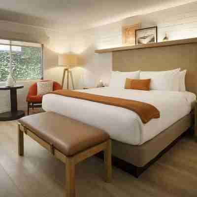 Dr Wilkinsons Backyard Resort and Mineral Springs a Member of Design Hotels Rooms