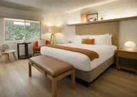 Dr Wilkinsons Backyard Resort and Mineral Springs a Member of Design Hotels - Spa