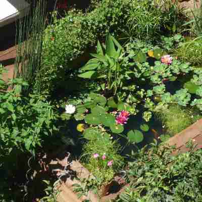 Hôtel des Arceaux Montpellier centre Hotel Exterior