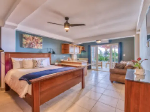 Tropical Suites Hotel โรงแรมในโบกาสเดลโตโร