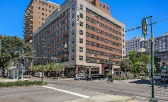Spacious Modern Condo Near French Quarter