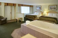 Flamingo Hotel 매디슨햇 호텔