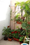 Apartment Bucevic