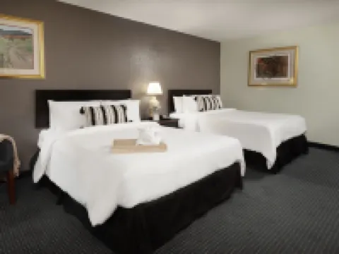 ザ・カクタス・コーヴ・イン・アンド・スイーツ アマリロのホテル