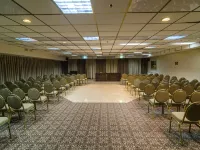 Royal Plaza Hotel Hotels in Kinnerot