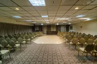 Royal Plaza Hotel فنادق في Kinnerot