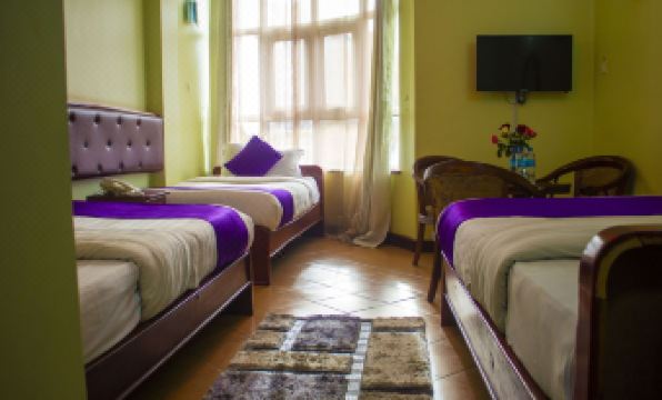 New Hotel Aquiline
