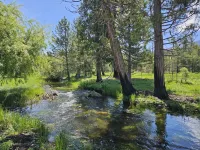 The Black Forest Lodge Hotels in Lake Almanor Country Club