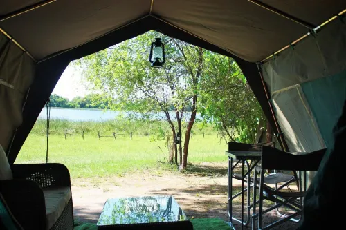 Hippo Island Okavango Delta - Pet friendly