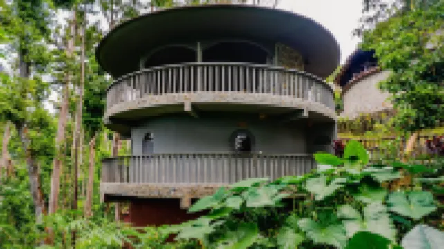 Atremaru Jungle Retreat