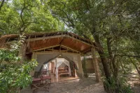 Fig Tree Camp - Maasai Mara Hotels near Fig Tree Camp Mara- Central Reservations