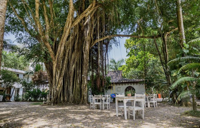Hotel Restaurante Selva Negra