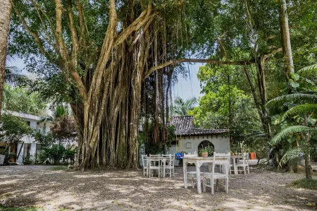 Hotel Restaurante Selva Negra Отели в г. Турбако