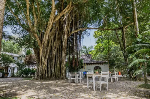 Hotel Restaurante Selva Negra