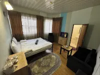 Alem Hotel Hotels in Musaler