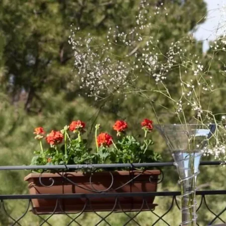 Hotel Giardino Inglese