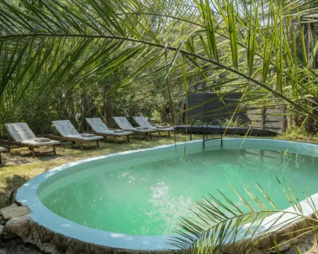 Xaro Lodge Hotels in Ngamiland North