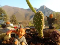 Apt - Sleeps 2 - Balcony - Pets Ok