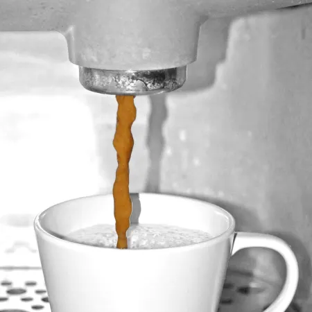 Hotel de Vischpoorte, Hartje Deventer en Aan de IJssel