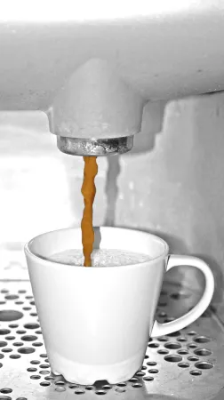 Hotel de Vischpoorte, Hartje Deventer en Aan de IJssel