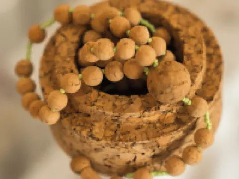 Serra d'Aire Boutique Hotel - SA Hotels Hotels in Fatima